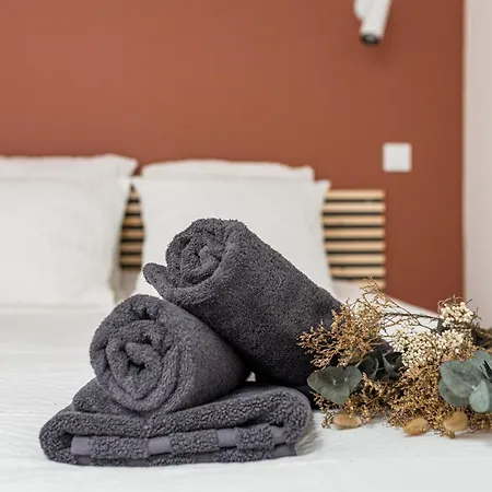 Sweet Haven Appartement Grand Confort Et Design Saint-Etienne  Exterior foto