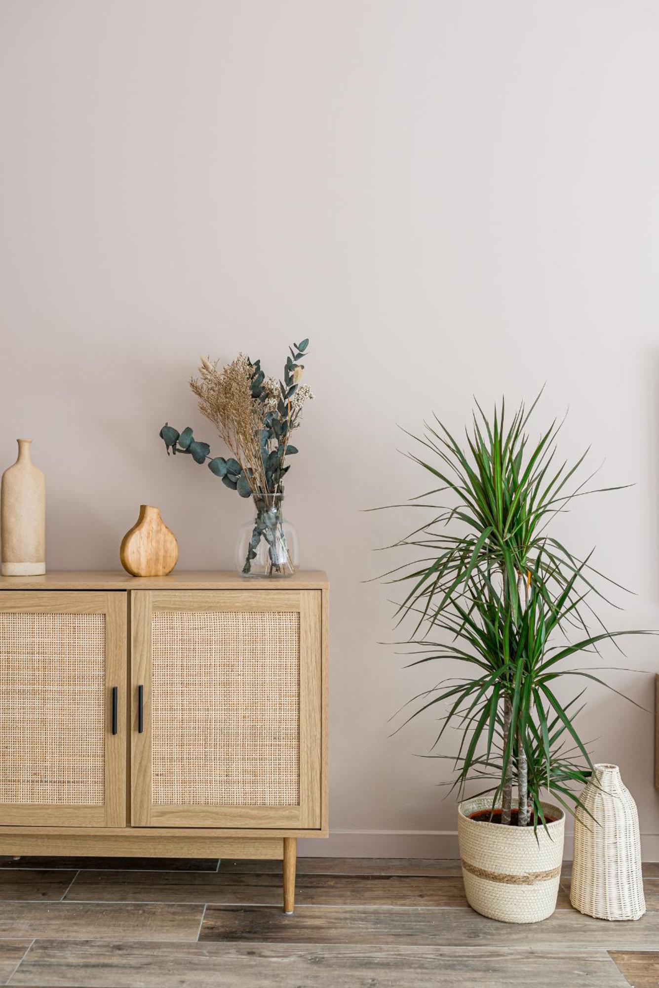 Sweet Haven Grand Confort Et Design Appartement *